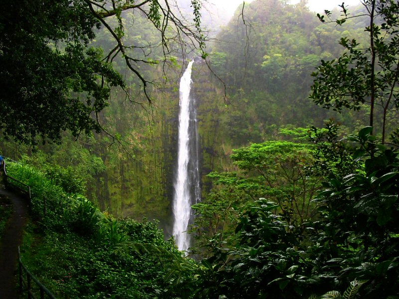 Waterfalls of Hawaii - Akaka Falls State Park